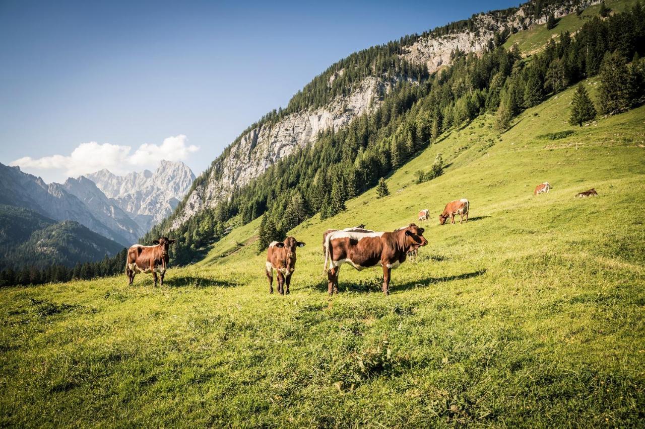 Exklusive Fewo Drachleck Mit 3 Schlafzimmern & Panoramabergblick In Bester Lage Schönau am Königssee Eksteriør bilde